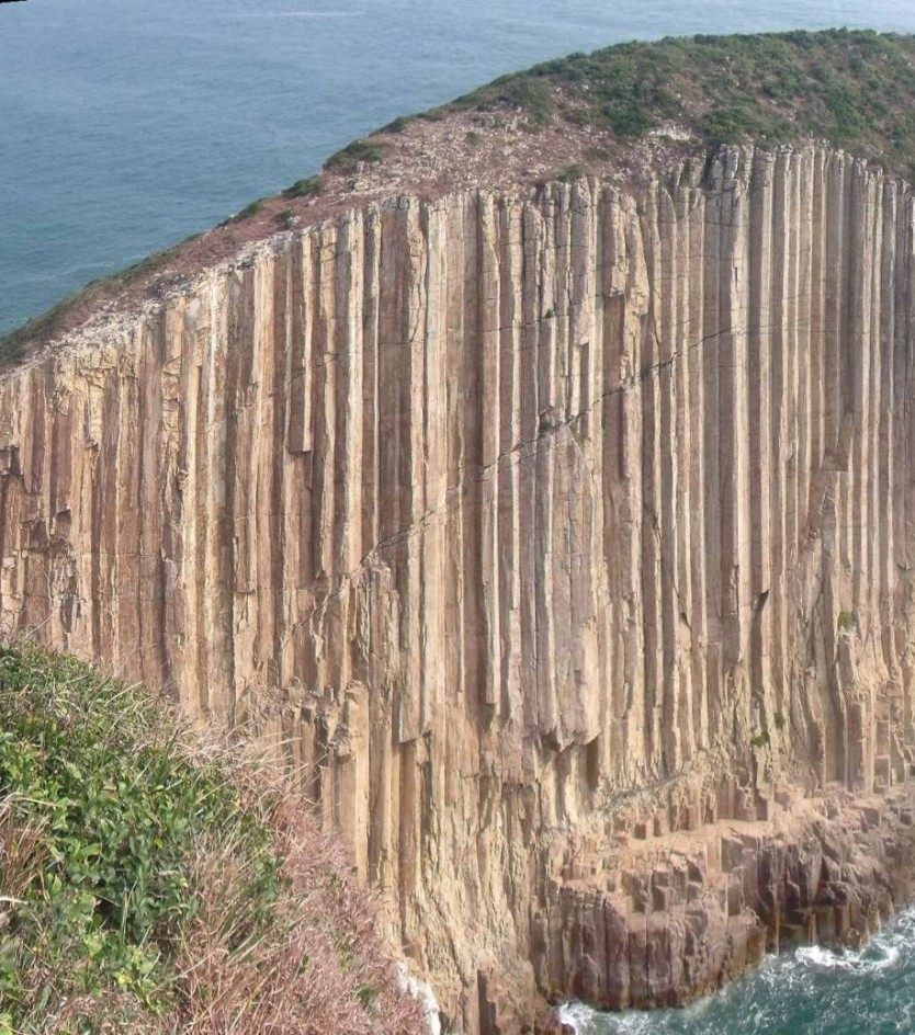 Discover your backyard, Support Local Businesses